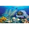 Biggies Scenes Window Well Scenes-Ocean, 80 in wide x 40 in high BG-WW-OCN-80 - alternate 1